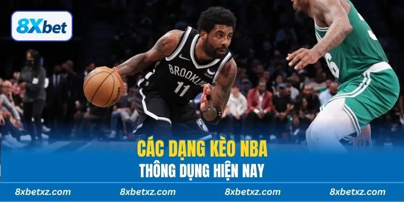 Các dạng kèo NBA thông dụng hiện nay