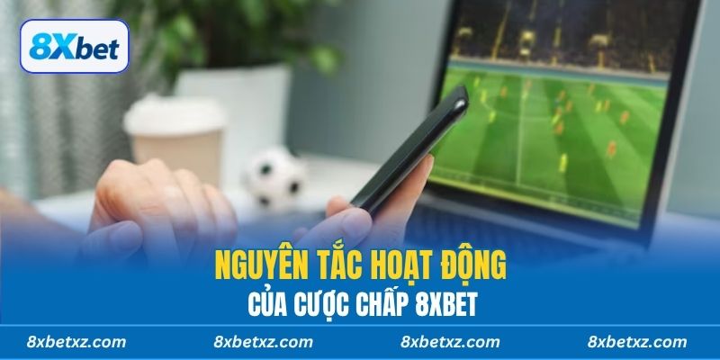 Nguyên tắc hoạt động của cược chấp 8xbet