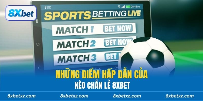 Những điểm hấp dẫn của kèo chẵn lẻ 8xbet